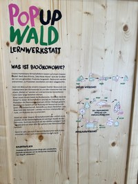 Pop-up Wald