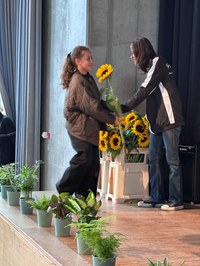 Sonnenblumen