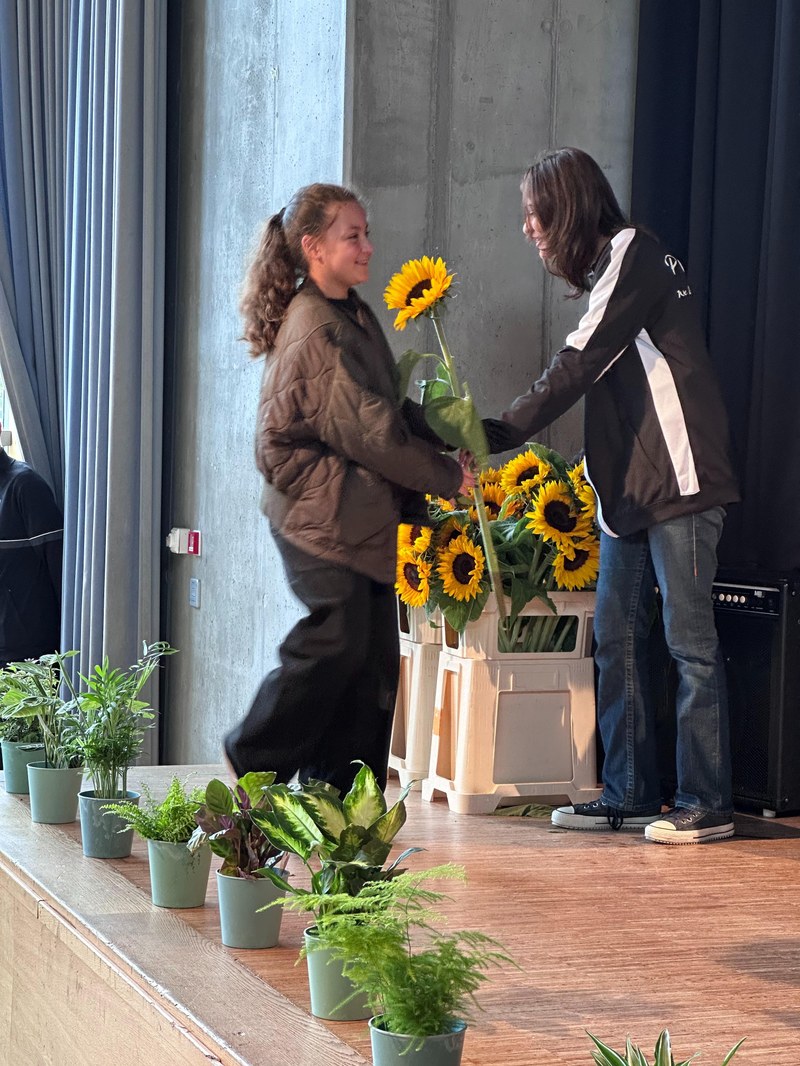 Sonnenblumen